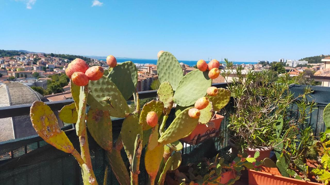 Attico Del Conero Apartment Ancona Bagian luar foto